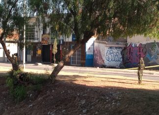 Esta tarde un joven pintor fue asesinado a balazos en la colonia Valle de los Naranjos en Celaya.