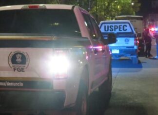 Madre e hijo fueron atacados a balazos al llegar a su domicilio, la.myjer murió en el lugar de los hechos en Zamora Mich.
