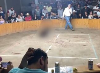 Ataque armado en un palenque clandestino en San José de Iturbide, dejo un saldo de dos personas muertas y tres heridos.