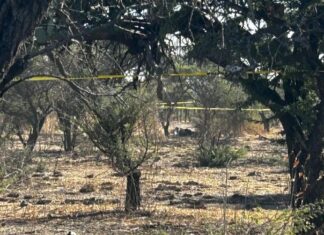 Localizan el cuerpo sin vida de un hombre en la zona cerril del Fraccionamiento El Cielo, en León.
