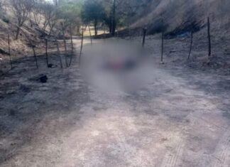 Encuentran a hombre asesinado en un camino de terracería cerca de Cuitzeo.