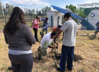 Plantan cientos de árboles nuevos en Santa Ana Pacueco