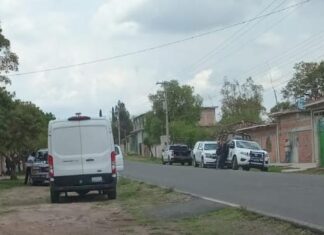 Un hombre fue ejecutado dentro de su domicilio en la comunidad de La Cuevita, en Apaseo El Alto.