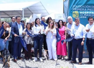 En León ya la construyen y en el congreso apenas analizan una iniciativa para crear clínicas veterinarias públicas.