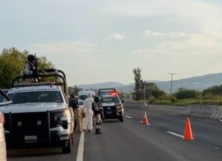 Localizan restos humanos en bolsas de plástico a un costado de la carretera Salvatierra – Celaya, la tarde de este viernes.