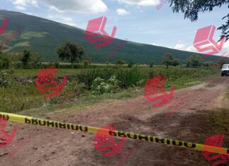 Localizan restos humanos en una parcela en la comunidad de Providencia en Jaral del Progreso; el cuerpo había sido devorado por la fauna silvestre.