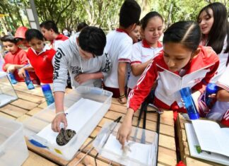 La dirección de sustentabilidad de Irapuato invita a niñas y niños al curso «Verano Ecológico».