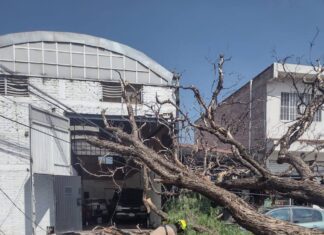 La SSPPC de León informa resultado de las atenciones por precipitación del 10 de julio.