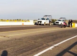 Dejan hieleras con cabezas de cerdo y mensajes contra los FSPE en diferentes puntos de Guanajuato.