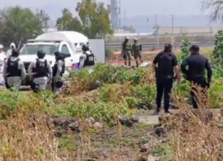 Encuentran los cuerpos sin vida de cuatro personas en la comunidad de La Norita, en Apaseo El Grande, en los límites con Querétaro.
