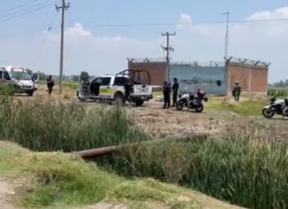 Fue localizado el cuerpo sin vida de un hombre, en un camino de terracería entre la colonia Barlovento y la comunidad de Valtierrilla, en Salamanca.