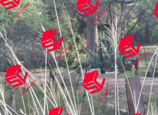 Secuestran y matan a hombre originario de Yuriria en Salvatierra.