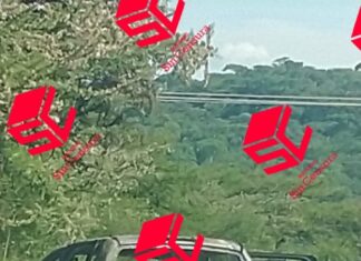 Localizan los cuerpos sin vida de dos hombres en la comunidad de La Magdalena de Araceo en Valle de Santiago.