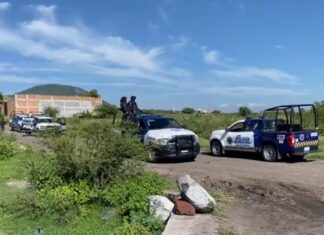 Localizan el cuerpo sin vida de una persona en avanzado estado de descomposición, en un camino de terracería hacia la comunidad de Janicho en Salvatierra.