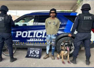 Oficial Janka de la Unidad Canina de las FSPE, detiene en Celaya a hombre con droga