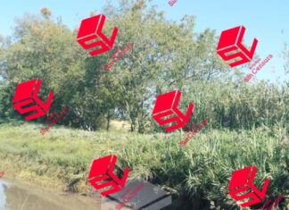 MASACRE EN VALLE DE SANTIAGO; CINCO PERSONAS FUERON EJECUTADAS AL INTERIOR DE UNA CAMIONETA EN EL CAMINO HACIA LA GRANJA ROJAS.