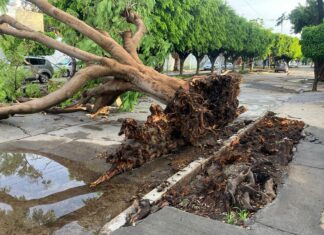 Azota de nuevo lluvia en León