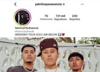 ESTÁN ACABANDO CON SU CARRERA MUSICAL