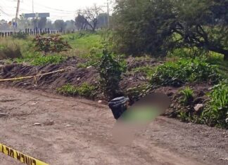 Encuentran la cabeza cercenada de un hombre al interior de una hielera en la carretera Panamericana Celaya- APASEO EL GRANDE