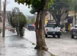 Un hombre fue asesinado a balazos al interior de un comercio en la zona centro de Tarimoro, la tarde de este viernes.