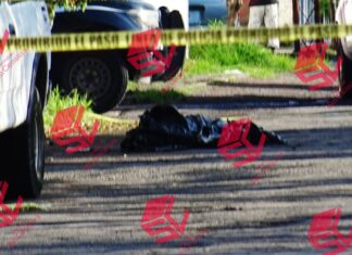 Encuentran el cuerpo sin vida de una persona envuelto en bolsas de plástico en la colonia Jardines de Jerez, en León.