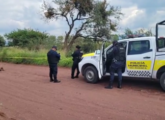 Localizan restos humanos en avanzado estado de descomposición en un camino de terracería entre las comunidades de Sotelo y Tierra Fria, en Salamanca.