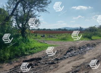 Matan a dos hombres a balazos en Valle de Santiago.