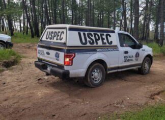 Tres cuerpos fueron encontrados en un camino de terracería en Acuitzio Mich.