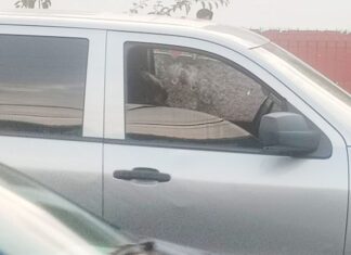 SSCC SOBRE AGRESIÓN A COMPAÑERO DE POLICÍA