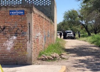 Localizan restos humanos de una persona descuartizada en terrenos de cultivo en la colonia San José, en Leon.