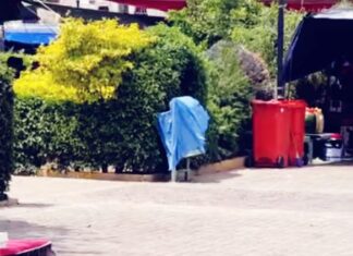 Localizan el cuerpo sin vida de una persona en un bote de basura en el jardín de la colonia San Miguel, en León.