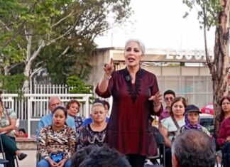 Bárbara Botello dice que Alvar y Zamarripa son un lastre para la seguridad en Guanajuato.