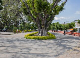 Próximamente iniciarán los trabajos de rehabilitación de La Alameda en Valle de Santiago; Alejandro Alanís.