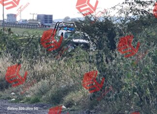 Localizan el cuerpo de una persona sin vida en la colonia Tierra Nueva en Irapuato; el cadáver presentaba lesiones producidas por impactos de arma de fuego.