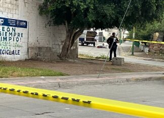 Una.mujer fue asesinada a balazos la.madrugada de este viernes en la colonia Cerrito de Jerez en León.