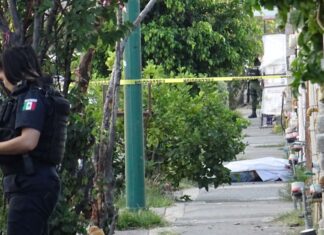 Cinco personas fueron asesinadas en tres hechos distintos en León.