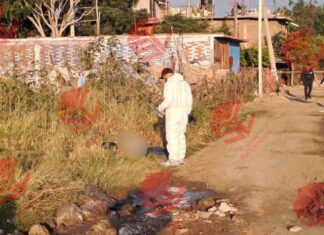 Localizan el cuerpo sin vida de una persona en un lote baldío de la colonia Villas del Rocío, en León.
