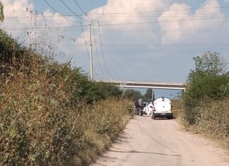 Encuentran los cuerpos sin vida de dos personas en el camino de acceso a la comunidad de San Luis Rey, en Celaya