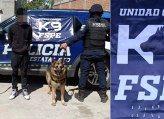 Aseguran a una persona que estaba en posesión de más de una decena de dosis de droga en Salvatierra.