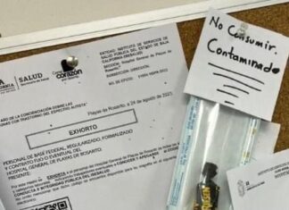 Falso que en las escuelas de Guanajuato circulen chocolates con «fentanilo»; Secretaria de Seguridad Ciudadana.