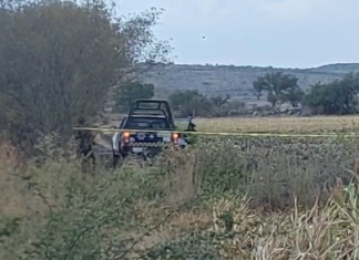 Se registra el segundo hecho doloso de este domingo en Salamanca; encuentran el cuerpo sin vida de un hombre entre parcelas en la comunidad de Majadas de Ancon.