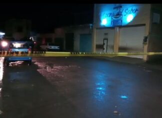 Dos hombre fueron asesinados a balazos en un negocio de venta y reparación de bocinas en Celaya, la noche de este domingo.