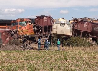 Cuantiosos daños materiales generó el descarrilamiento de varios vagones de tren cargados de maíz en Villagrán