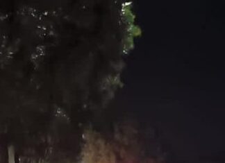 Asesinan a balazos a conductor en la carretera Juventino Rosas – Salamanca, la noche de este martes