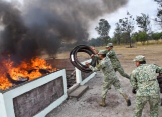 Autoridades de la Secretaría de la defensa nacional llevaron a cabo la incineración más de 2 toneladas de marihuana.