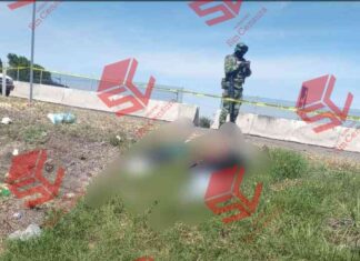 Localizaron los cuerpos de tres hombres sin vida a un costado de la carretera Celaya Salamanca.