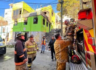 Seis felinos murieron en un incendio de una casa en Pueblito de Rocha en Guanajuato Capital.