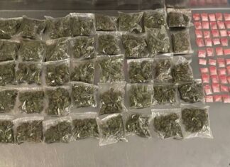 Presunto distribuidor de droga fue detenido por la Policía de León en la colonia Vibar