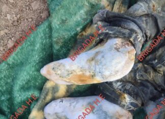 Localizan el cadaver de una persona enterrado en la comunidad de Barreto, en León