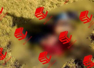 Localizan los cuerpos sin vida de tres hombres en un paraje del Lago de Cuitzeo, en Michoacán.